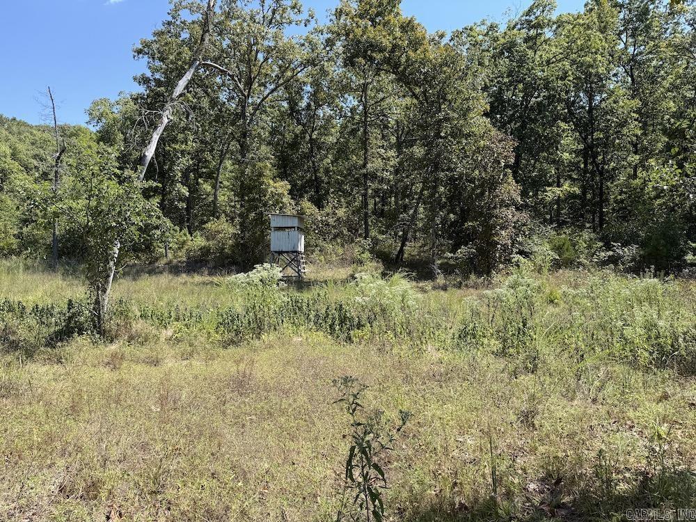 Haw Mountain Cemetery Road  Calico Rock, AR