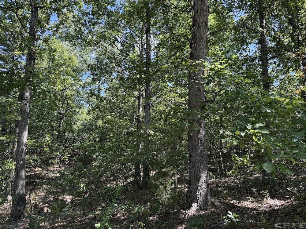  Haw Mountain Cemetery Road  Calico Rock, AR