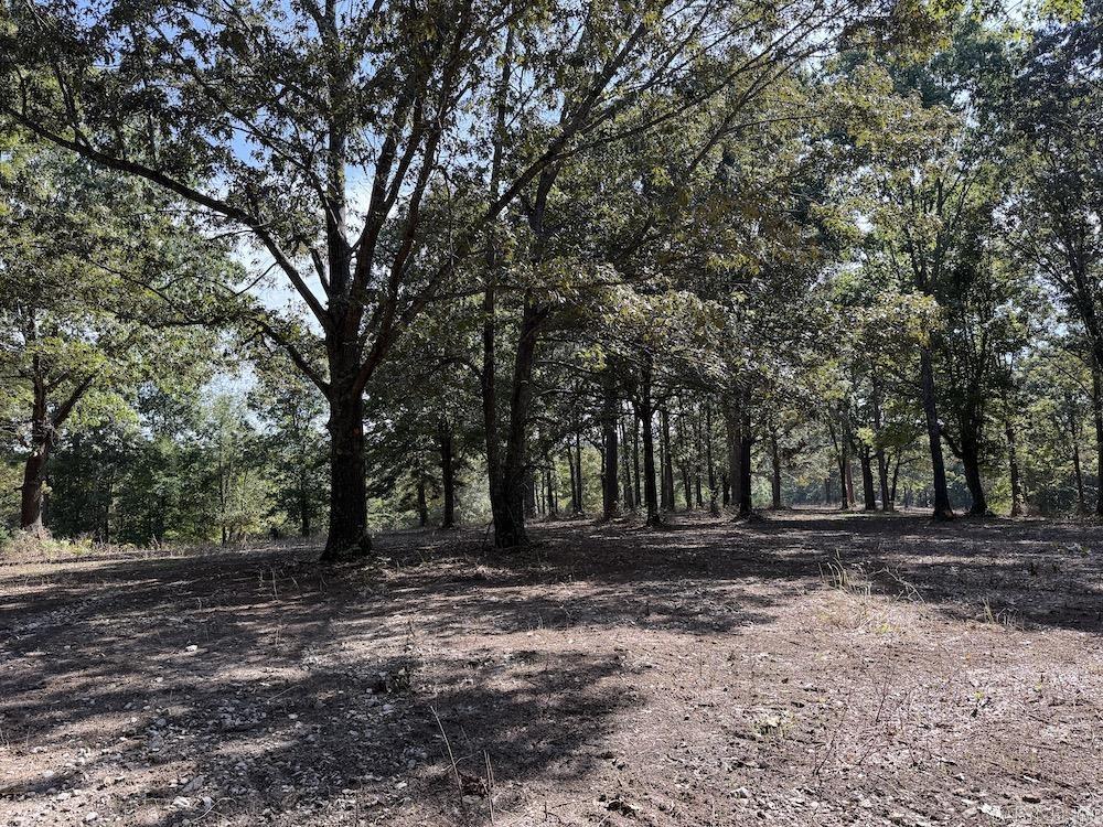  MC 5026  Yellville, AR