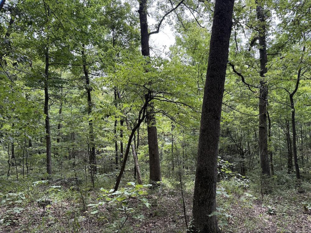 Tract 3/4 Terrapin Road  Harrison, AR