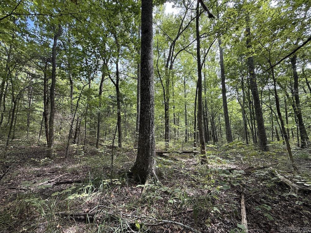 Tract 3/4 Terrapin Road  Harrison, AR