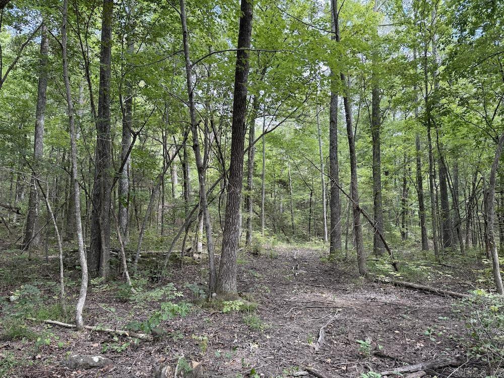 Tract 3/4 Terrapin Road  Harrison, AR
