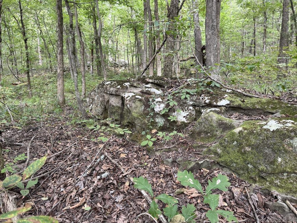 Tract 3/4 Terrapin Road  Harrison, AR