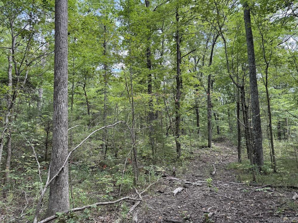 Tract 3/4 Terrapin Road  Harrison, AR