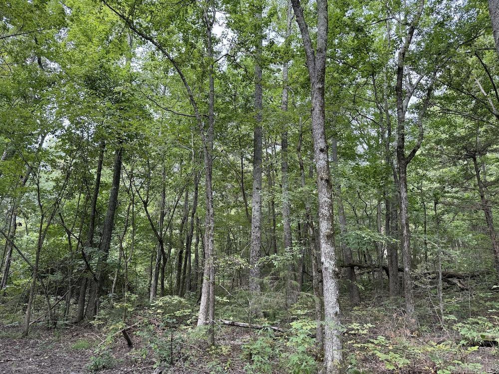 Tract 3/4 Terrapin Road  Harrison, AR