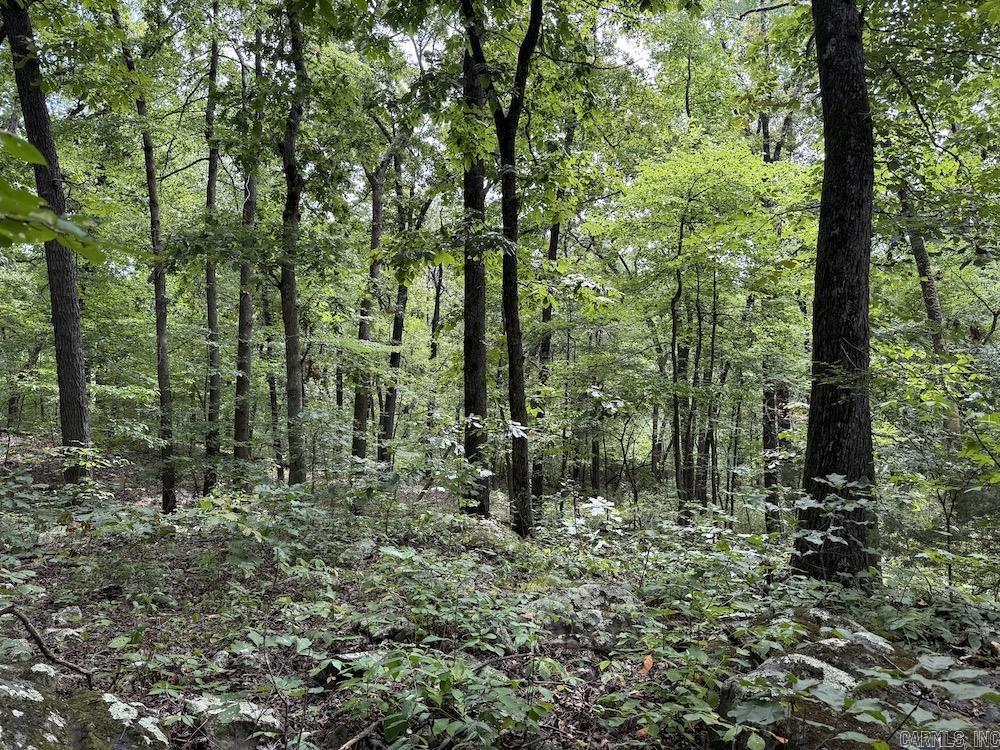 Tract 3/4 Terrapin Road  Harrison, AR