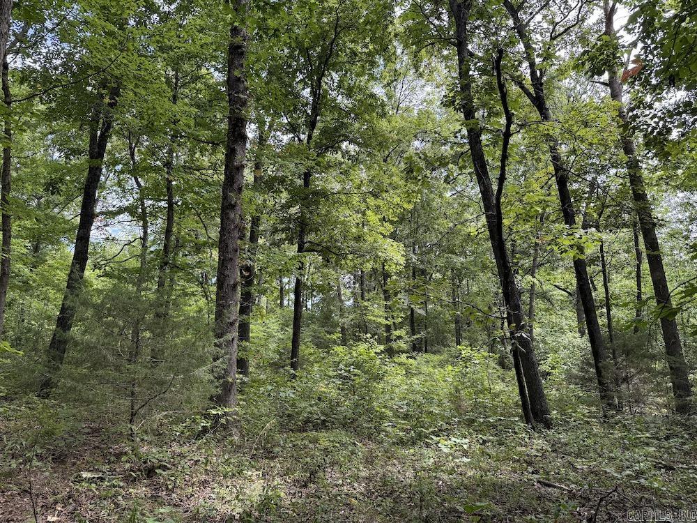 Tract 3/4 Terrapin Road  Harrison, AR