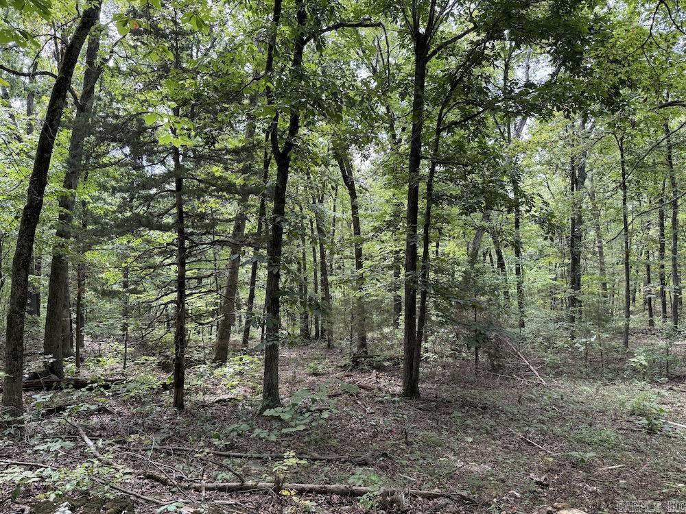 Tract 3/4 Terrapin Road  Harrison, AR