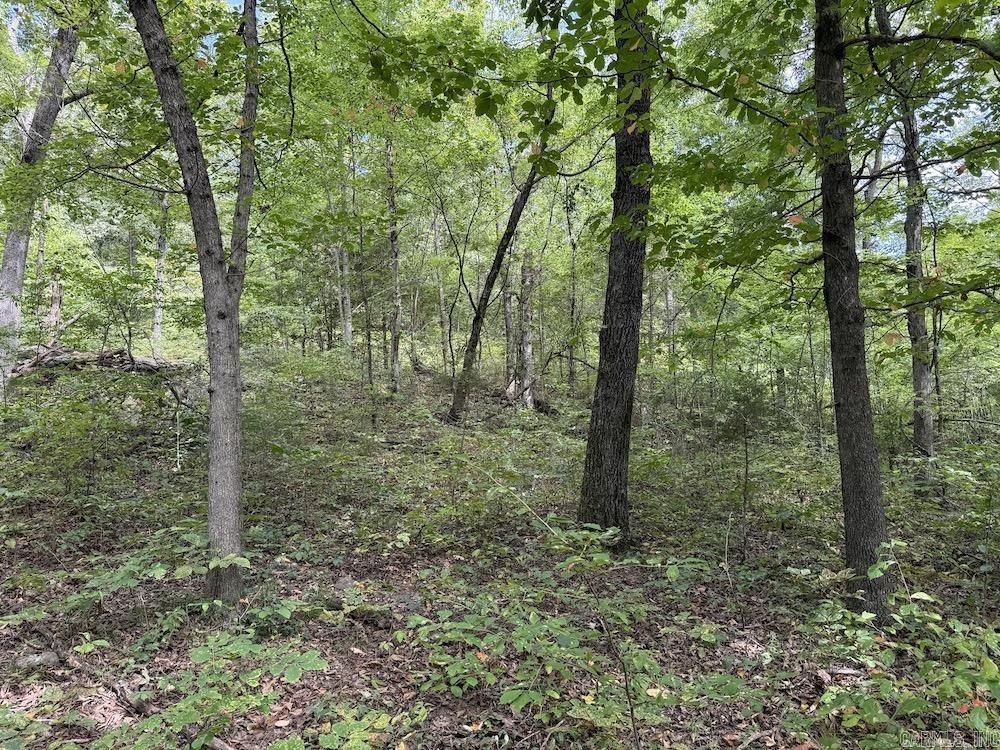 Tract 3/4 Terrapin Road  Harrison, AR