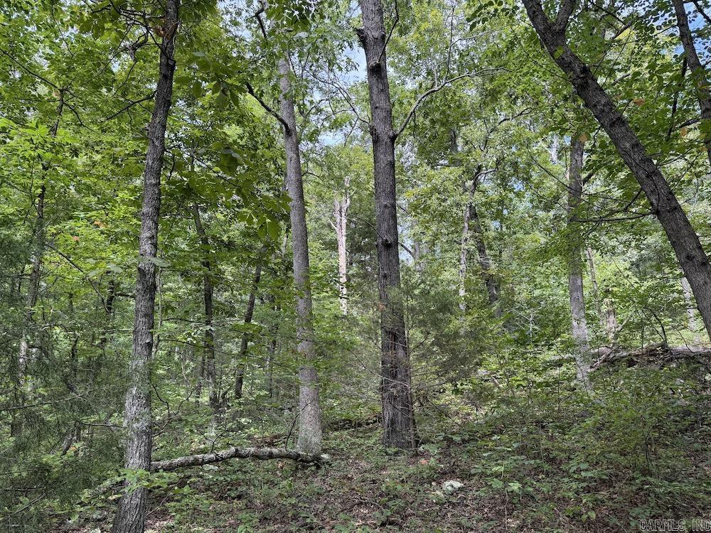 Tract 3/4 Terrapin Road  Harrison, AR