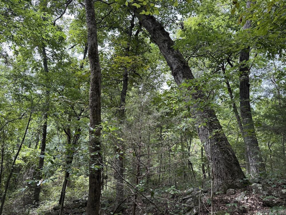 Tract 3/4 Terrapin Road  Harrison, AR