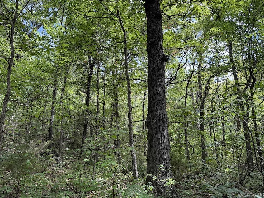 Tract 3/4 Terrapin Road  Harrison, AR