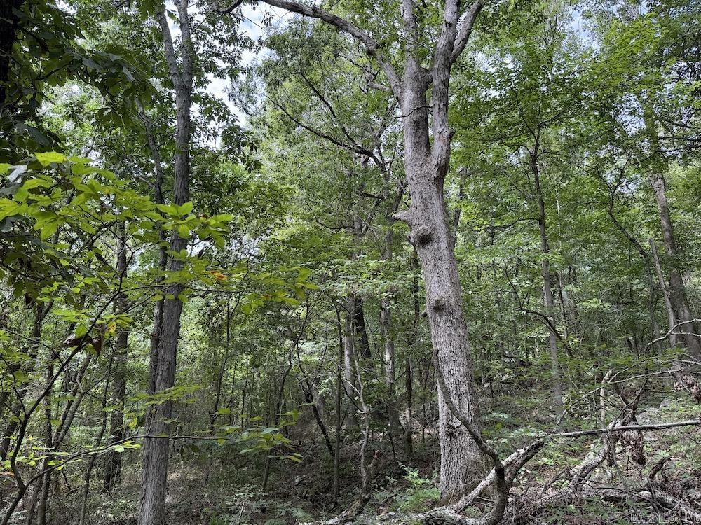 Tract 3/4 Terrapin Road  Harrison, AR