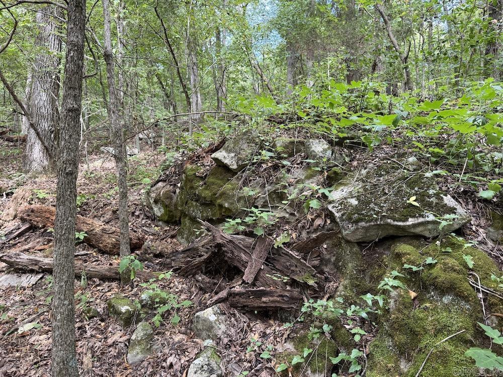 Tract 3/4 Terrapin Road  Harrison, AR