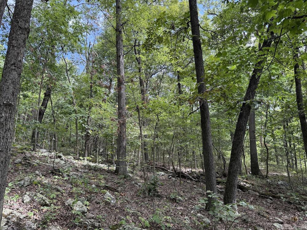 Tract 3/4 Terrapin Road  Harrison, AR