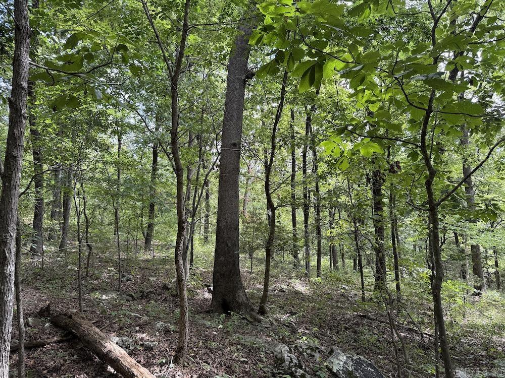 Tract 3/4 Terrapin Road  Harrison, AR