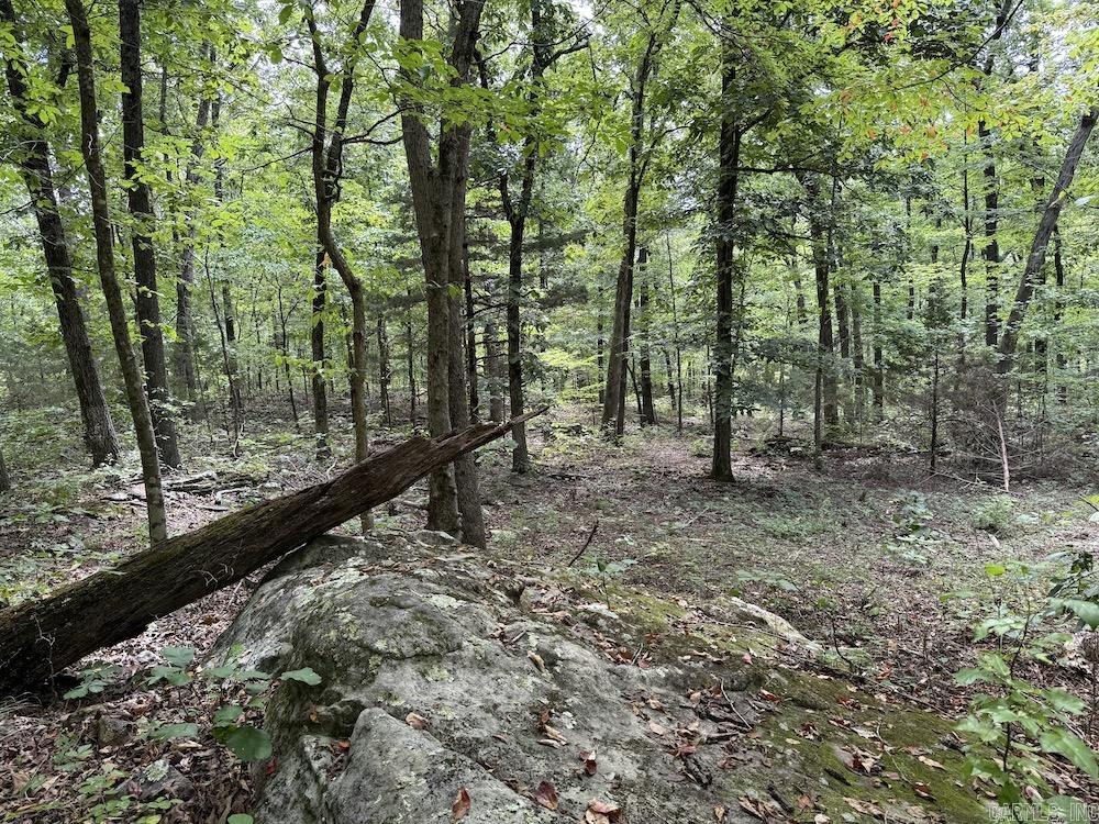 Tract 3/4 Terrapin Road  Harrison, AR