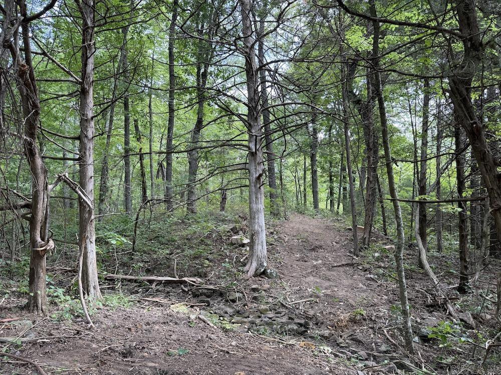 Tract 3/4 Terrapin Road  Harrison, AR