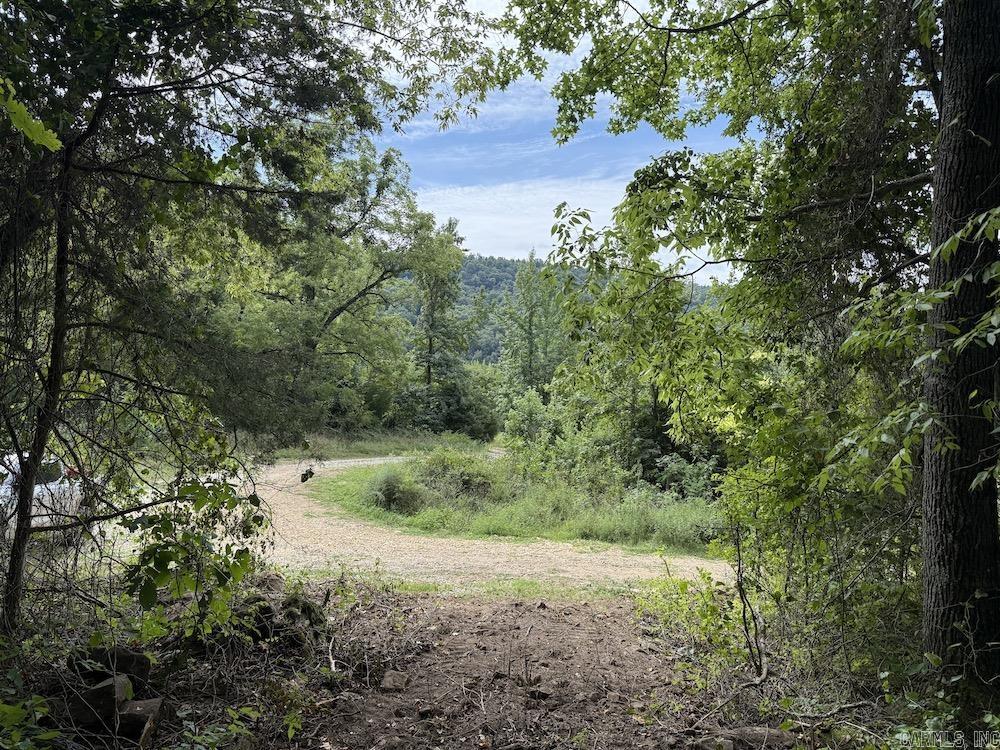 Tract 3/4 Terrapin Road  Harrison, AR