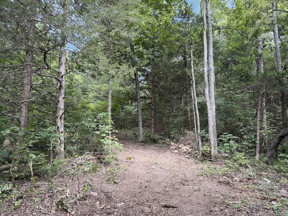 Tract 3/4 Terrapin Road  Harrison, AR