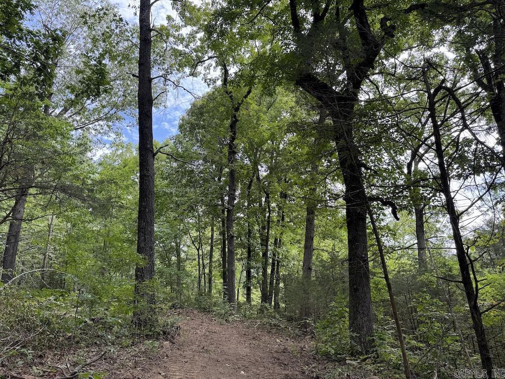 Tract 3/4 Terrapin Road  Harrison, AR