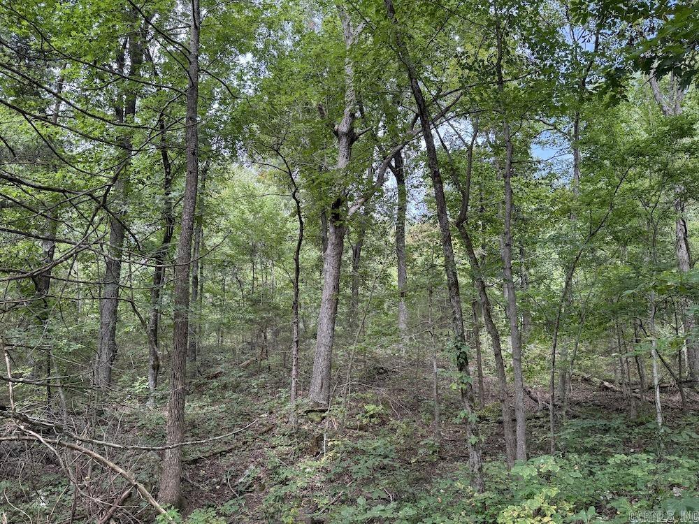 Tract 3/4 Terrapin Road  Harrison, AR