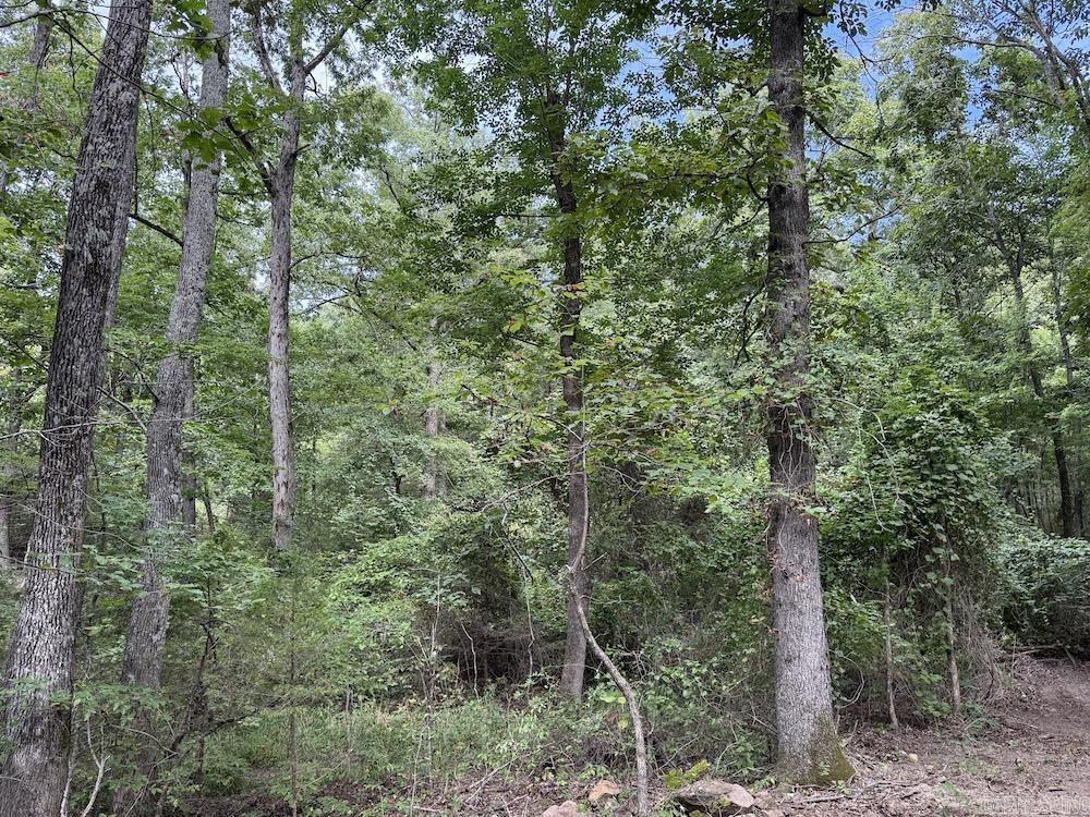 Tract 3/4 Terrapin Road  Harrison, AR