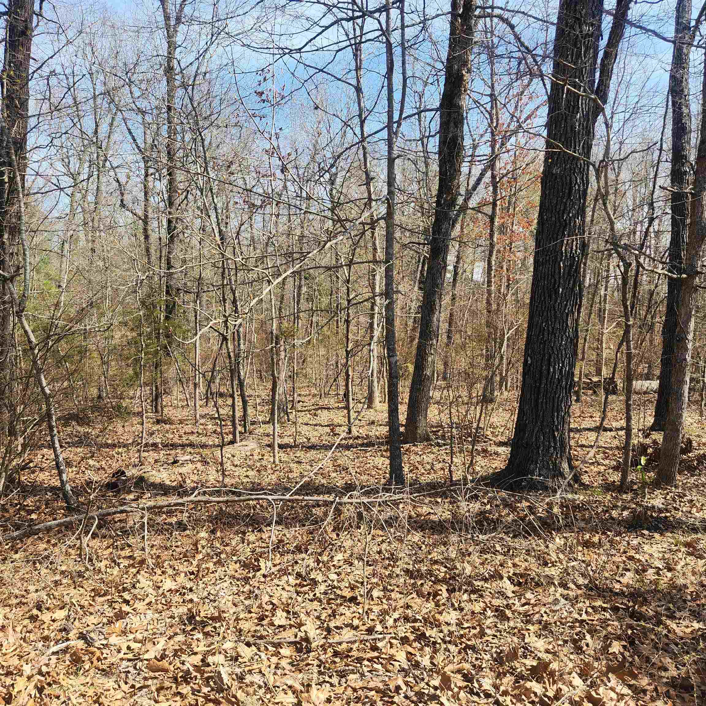 L-7, B-29 Miccosukee  Cherokee Village, AR
