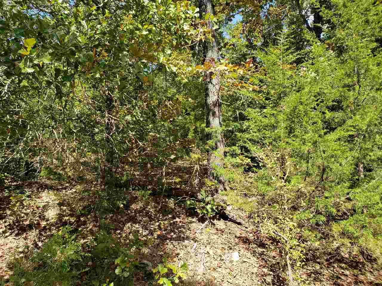 L-55 & 56 B-7 Lochloosa  Cherokee Village, AR