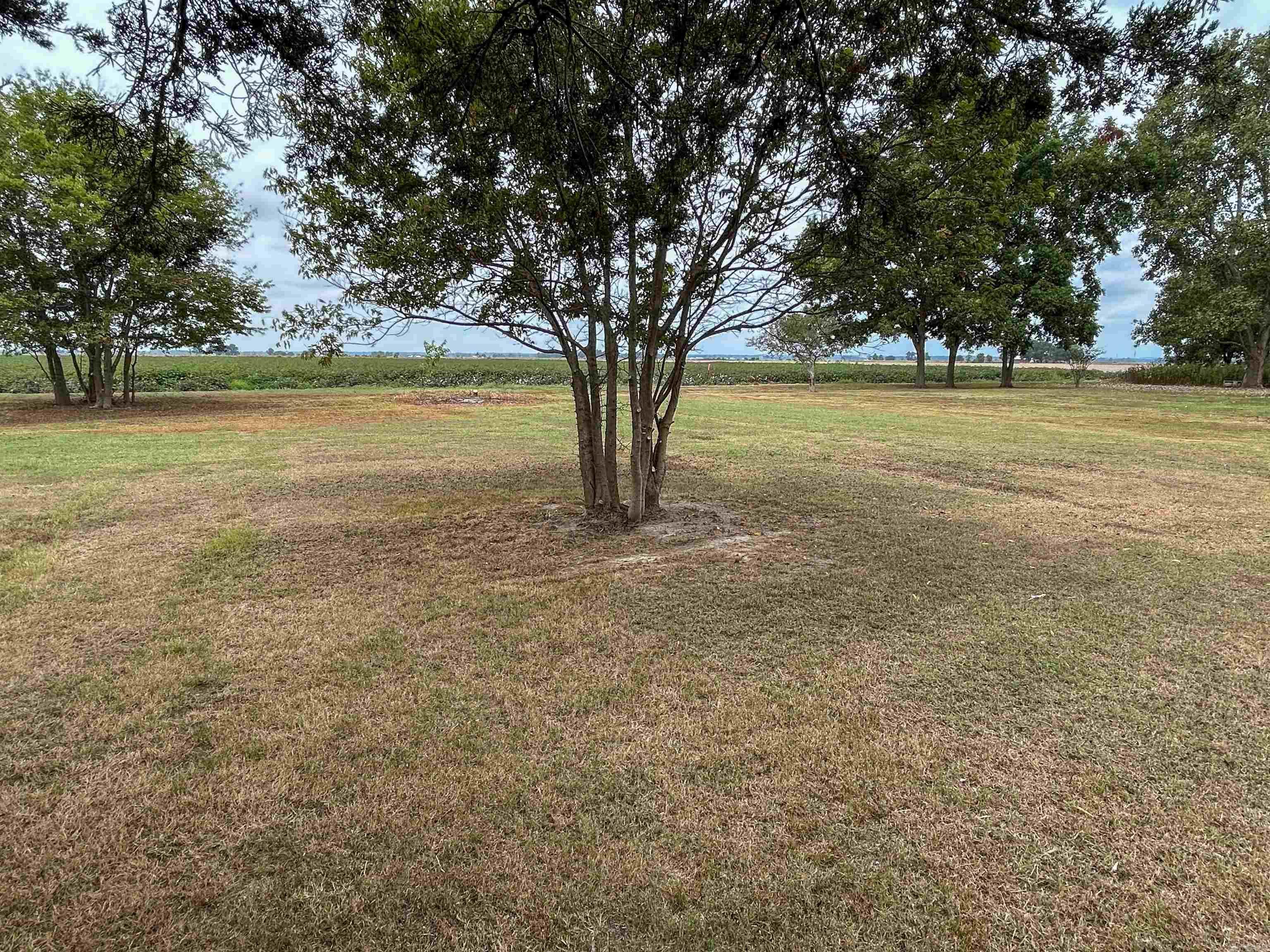 5190 County Road 912  Jonesboro, AR