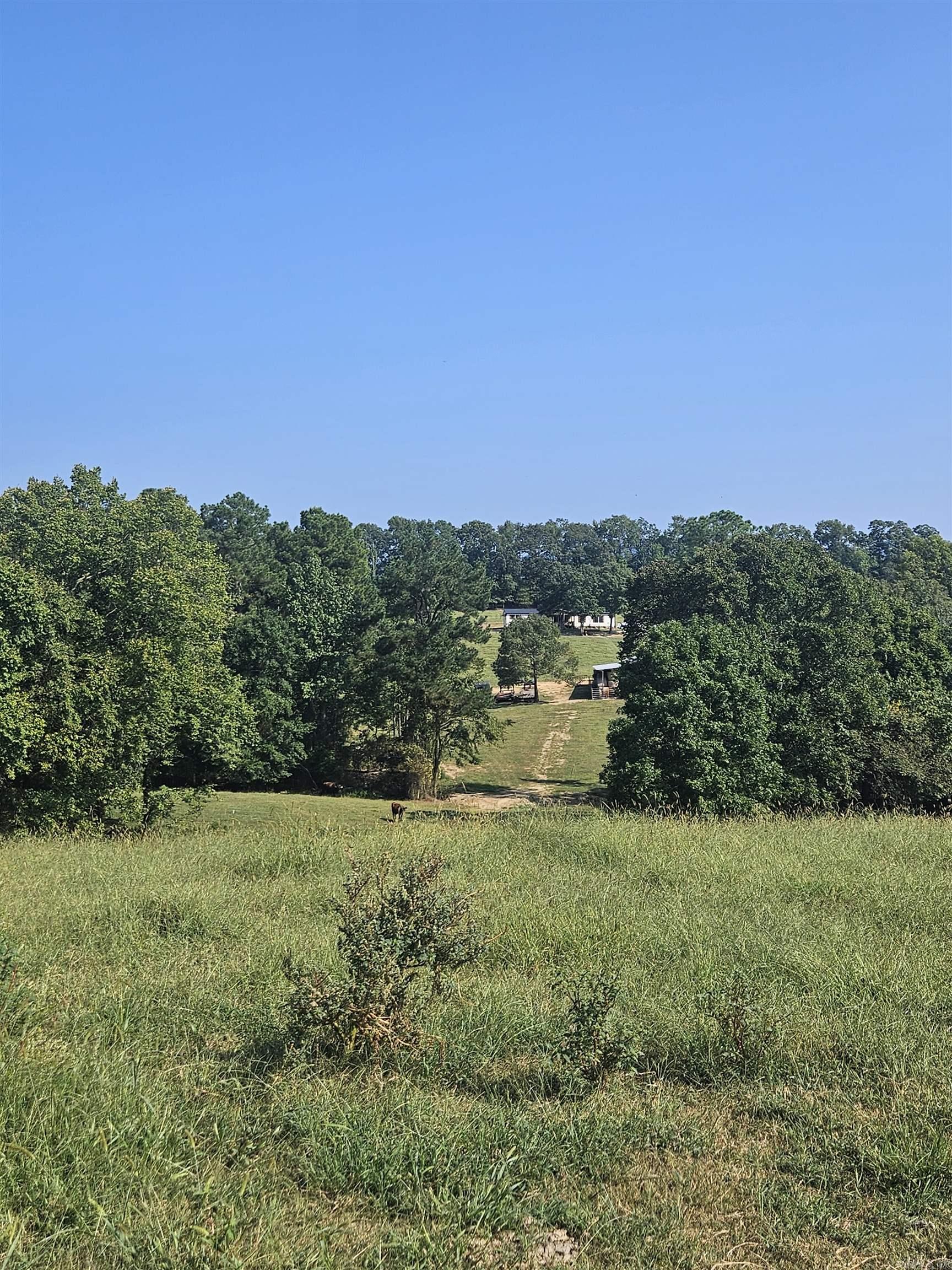 665 Hwy 246  Umpire, AR