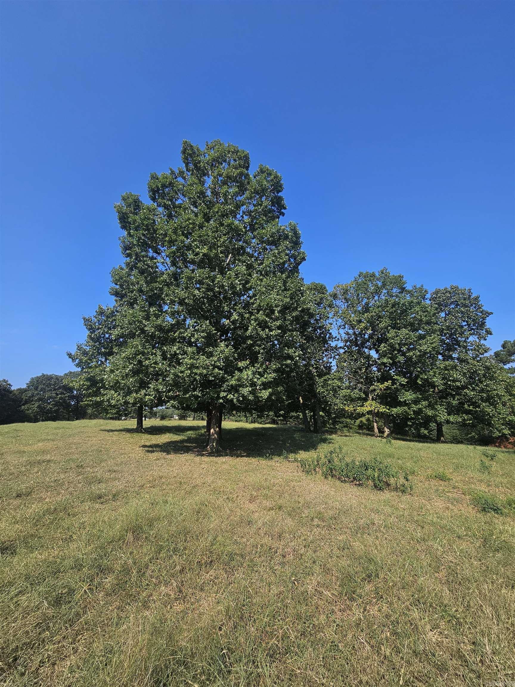 665 Hwy 246  Umpire, AR