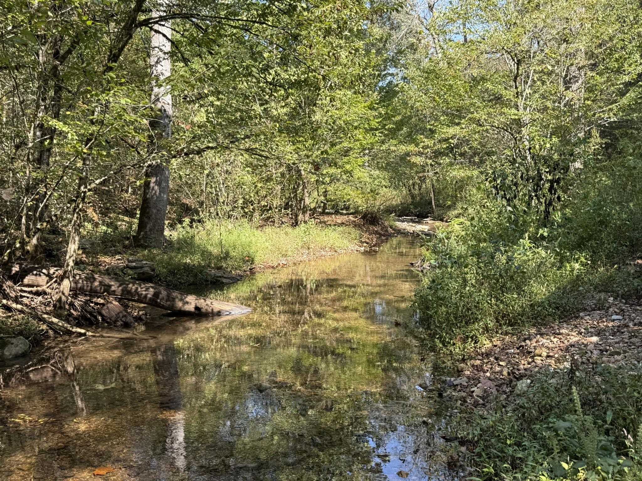 122A Williamson Trail  Guion, AR