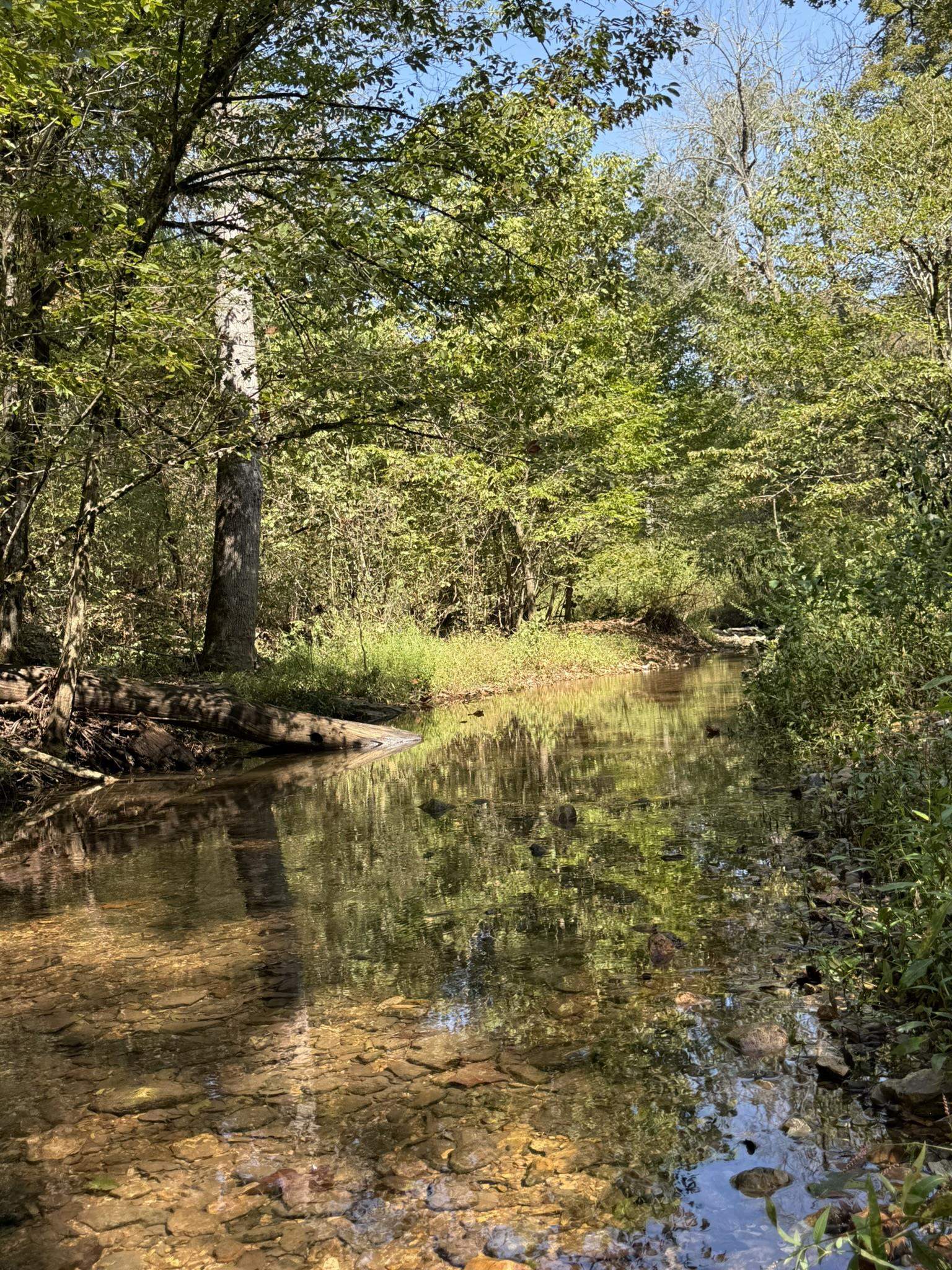 122A Williamson Trail  Guion, AR