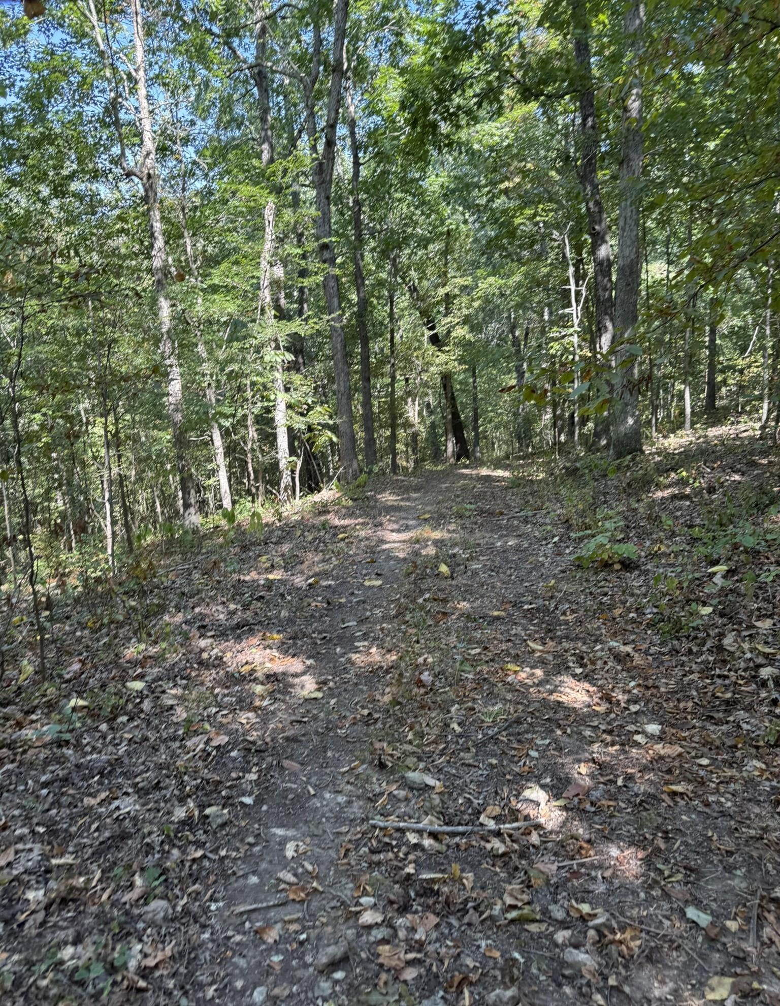 122A Williamson Trail  Guion, AR