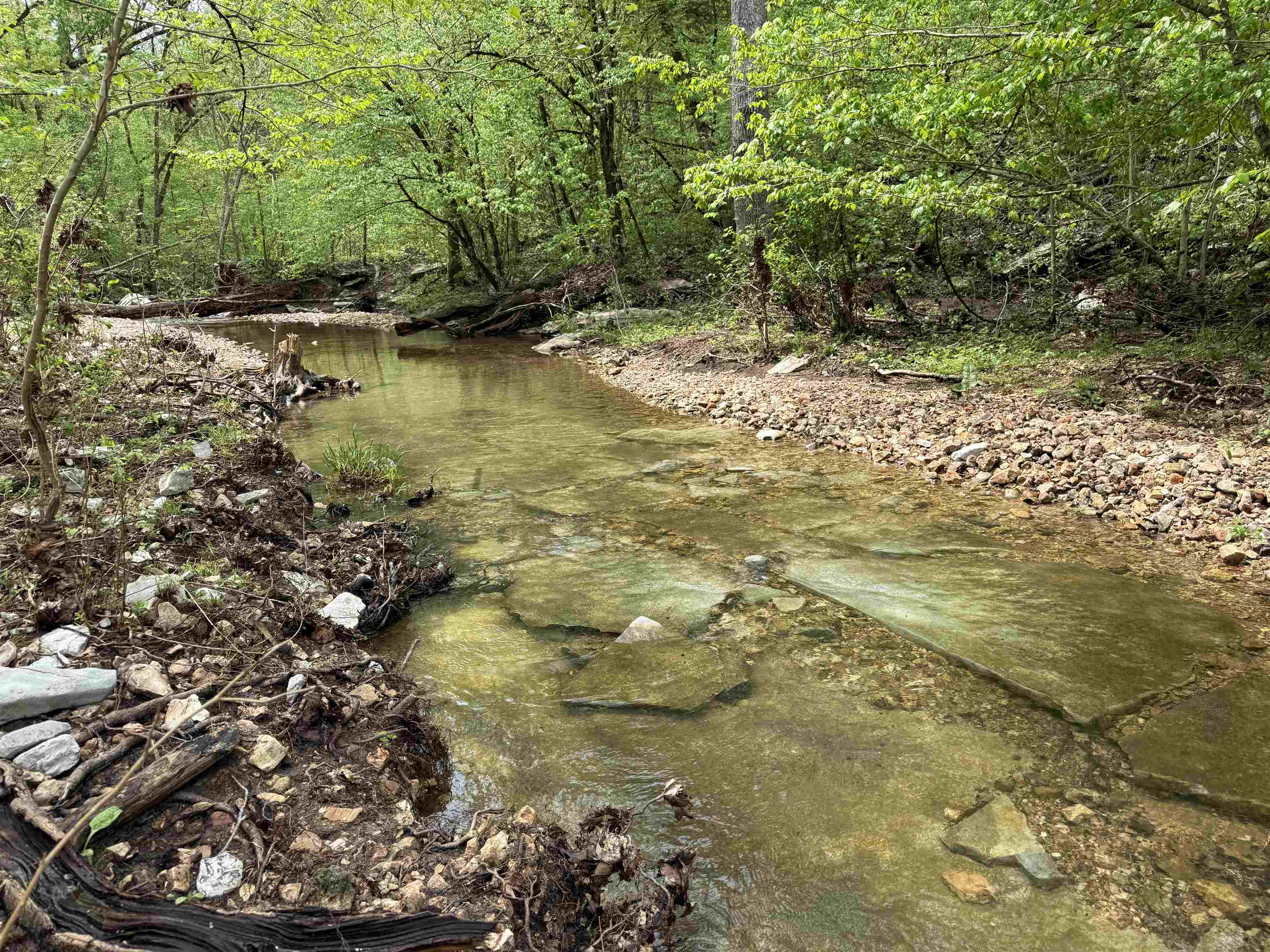 122A Williamson Trail  Guion, AR