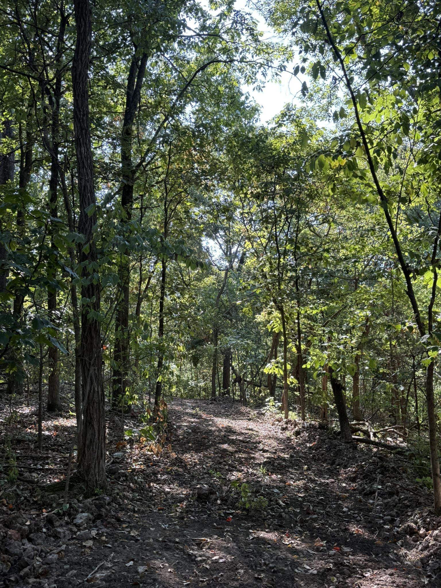 122A Williamson Trail  Guion, AR