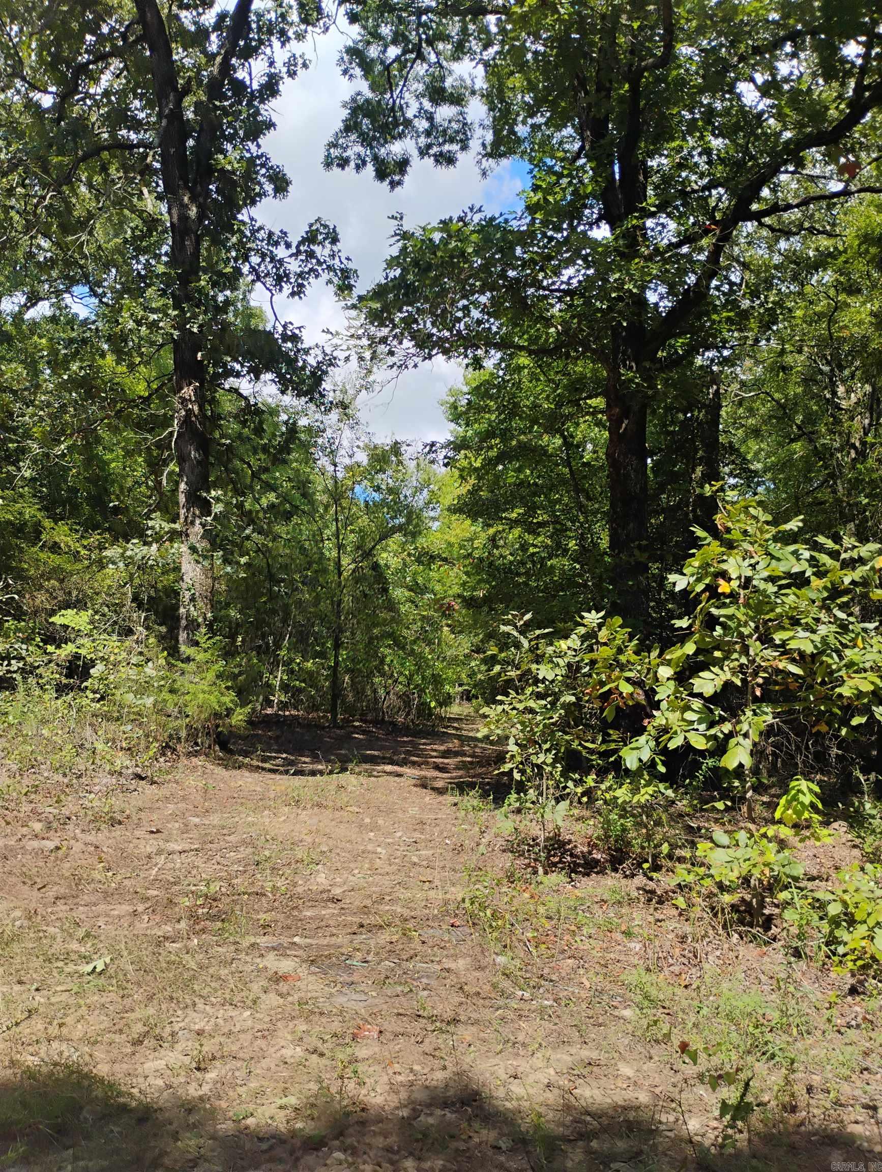 TBD Polk Road 197  Mena, AR