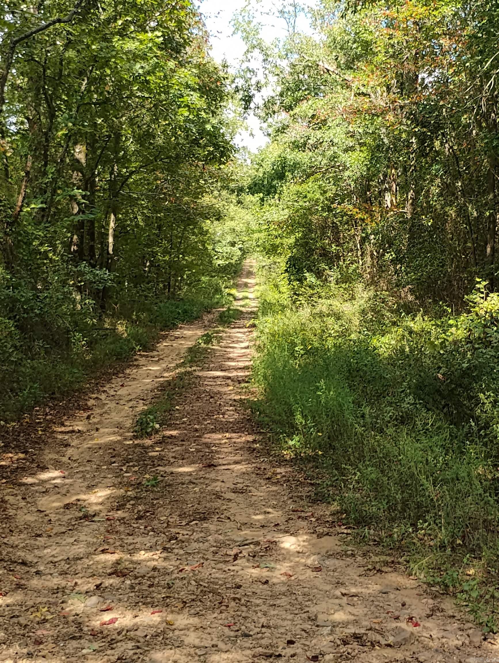 TBD Polk Road 197  Mena, AR