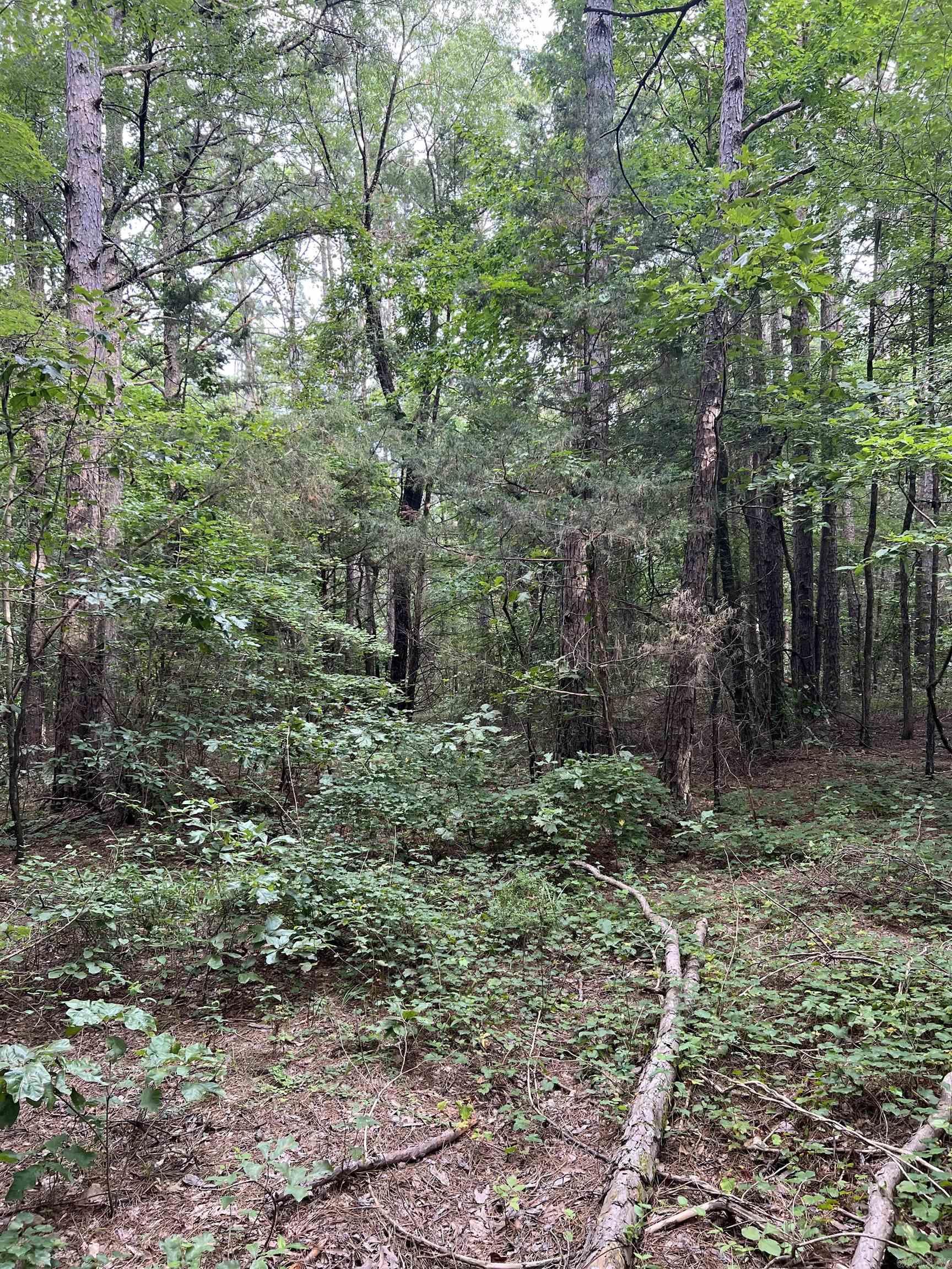 000 Truman Reynolds  Quitman, AR