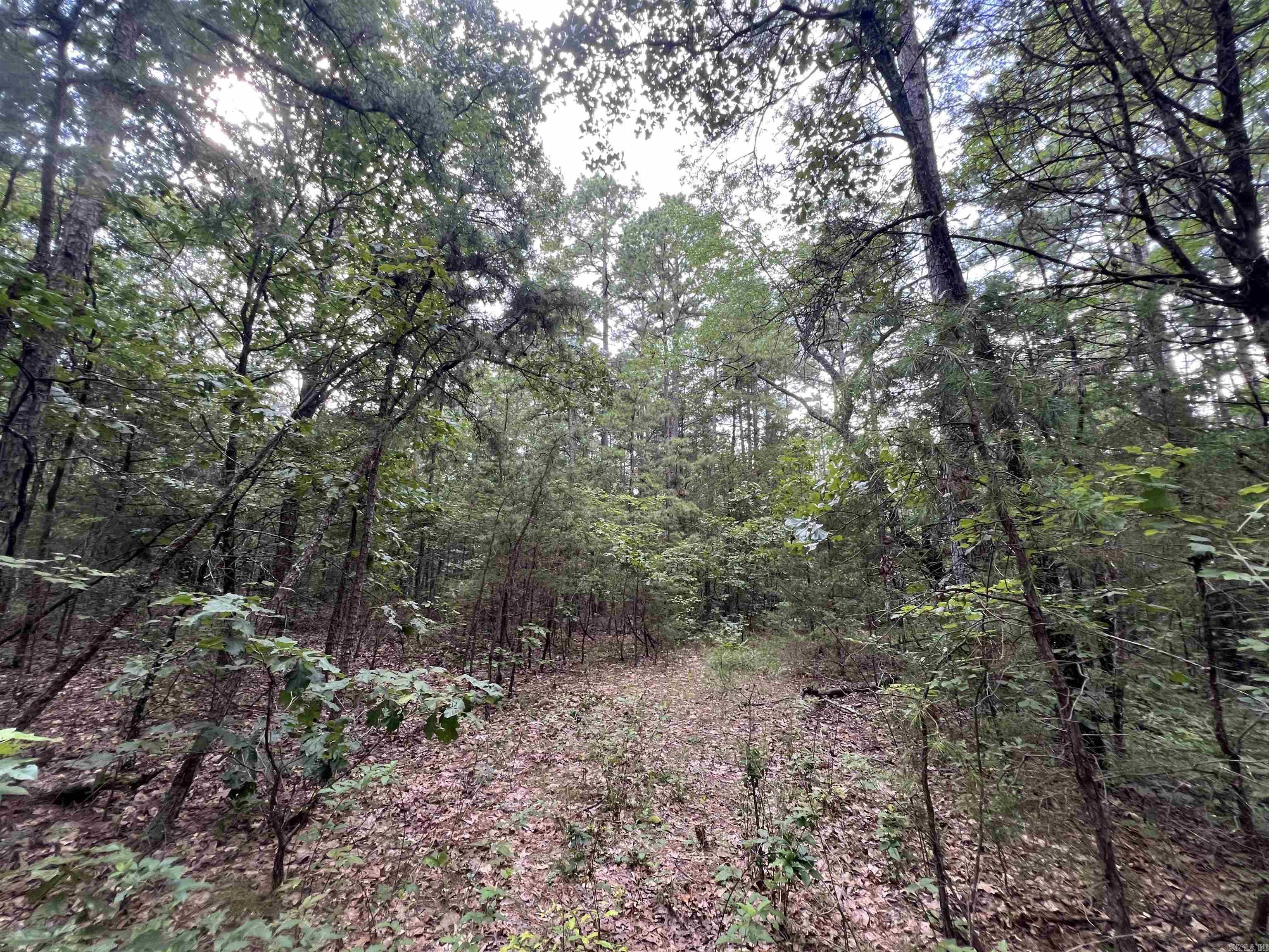 000 Truman Reynolds  Quitman, AR