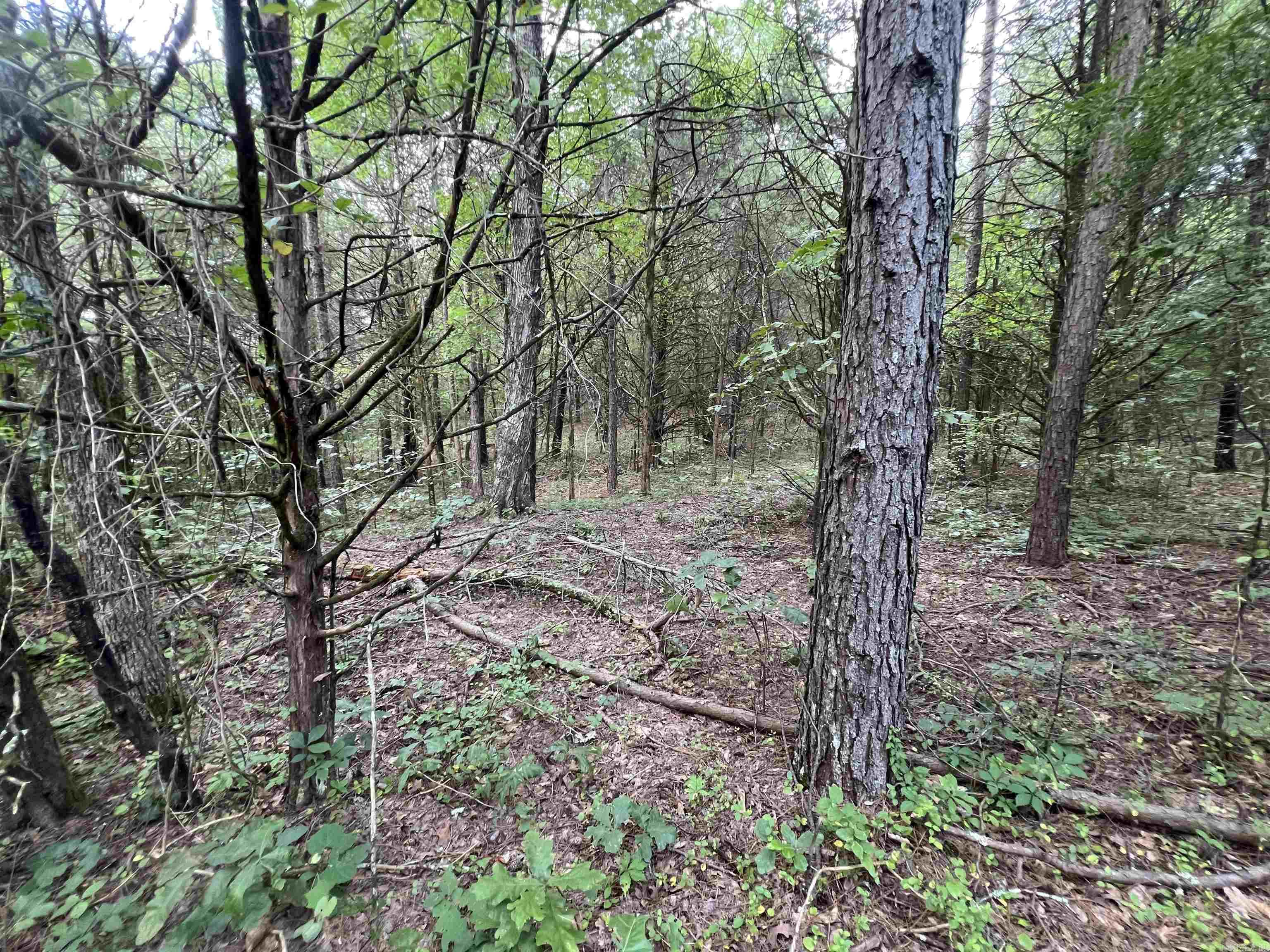 000 Truman Reynolds  Quitman, AR