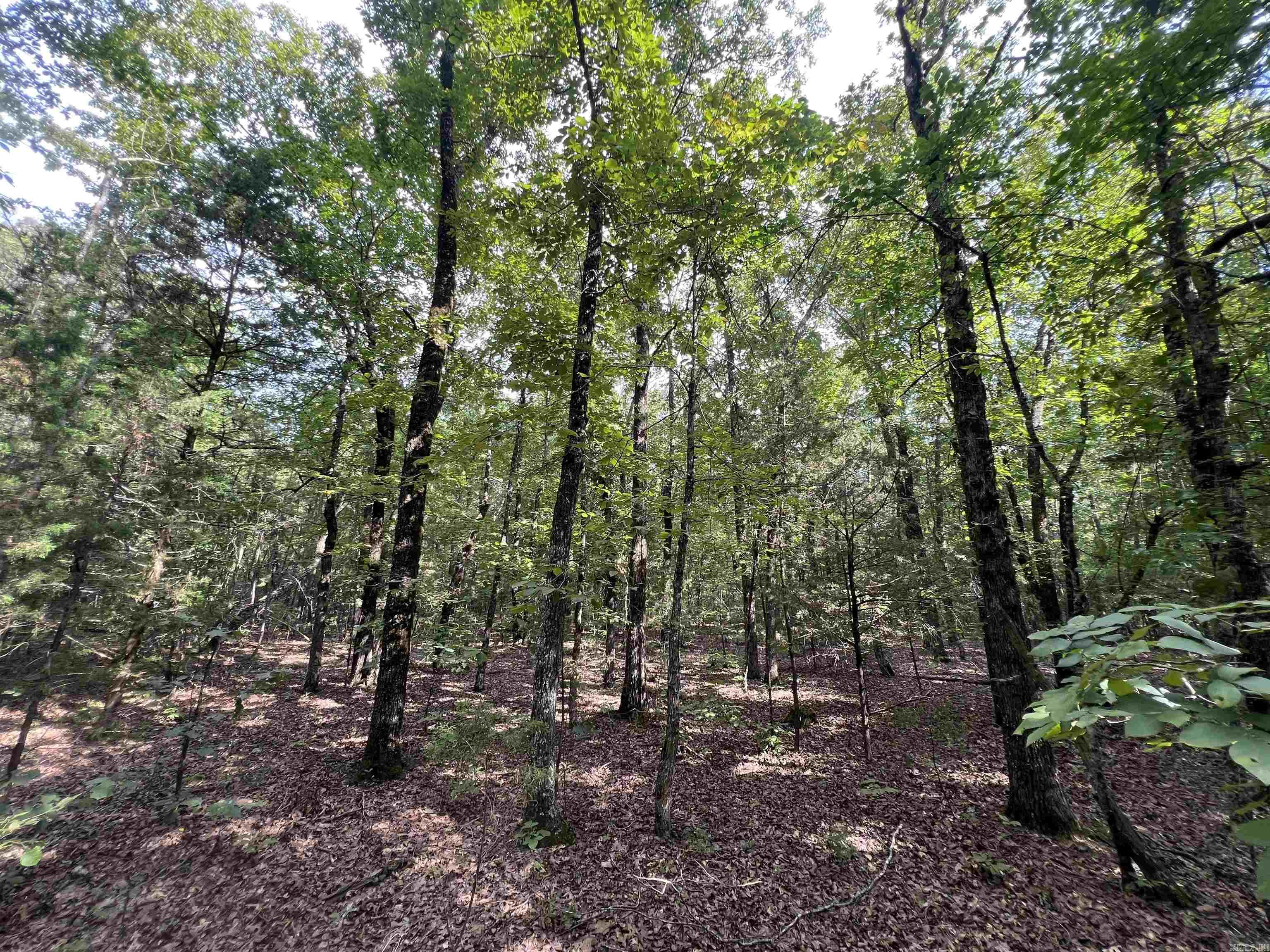 000 Truman Reynolds  Quitman, AR