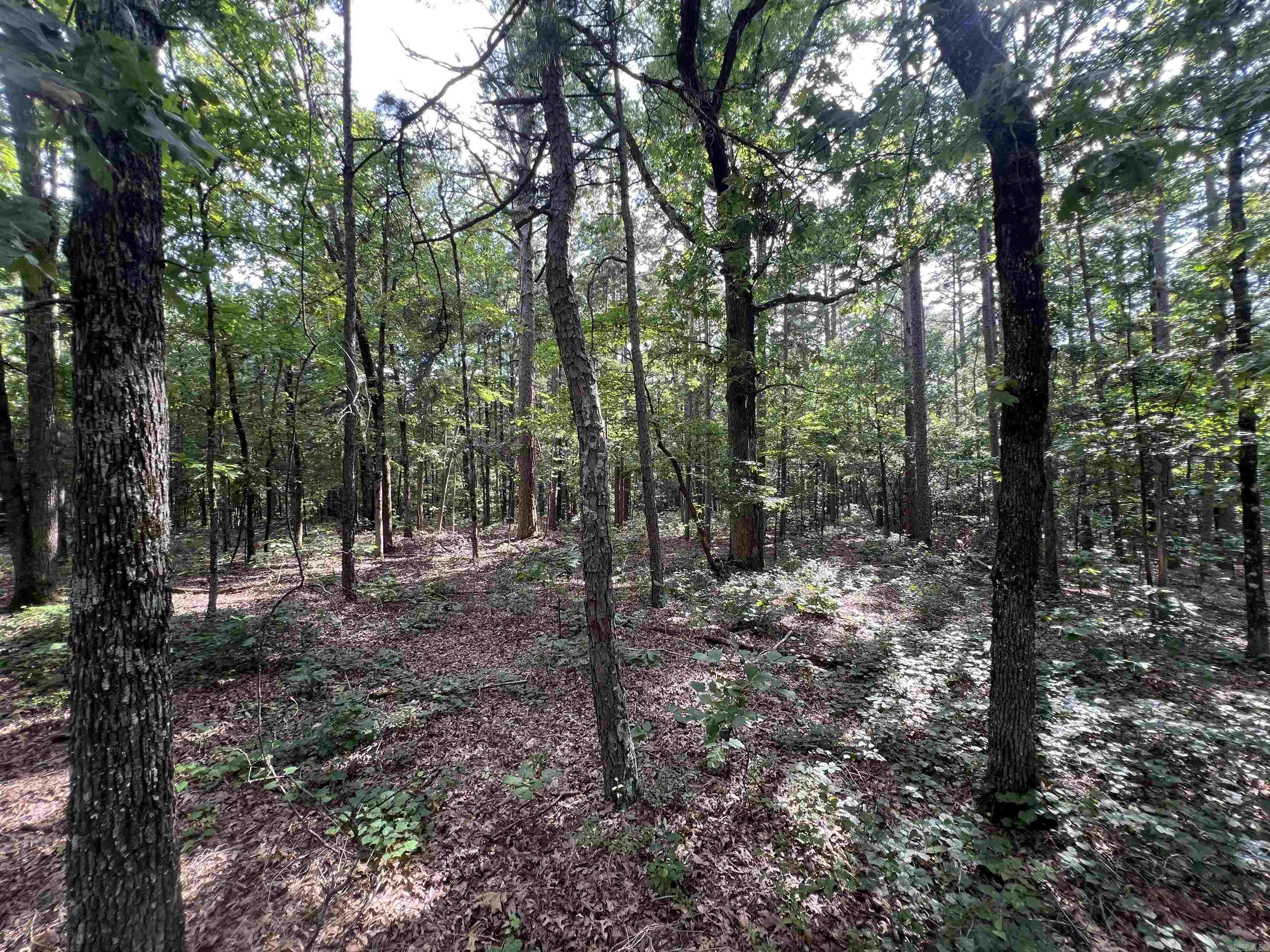 000 Truman Reynolds  Quitman, AR