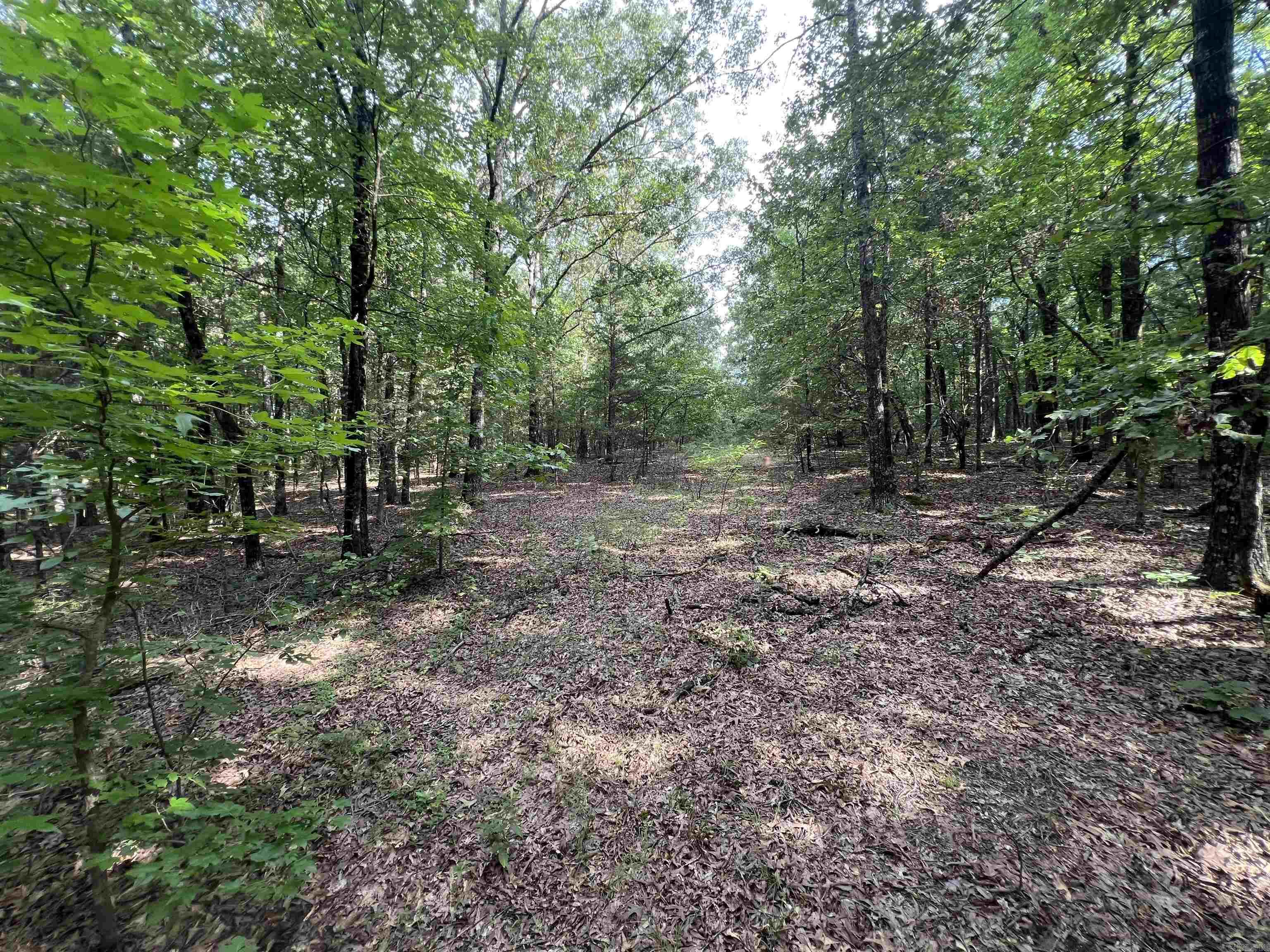 000 Truman Reynolds  Quitman, AR