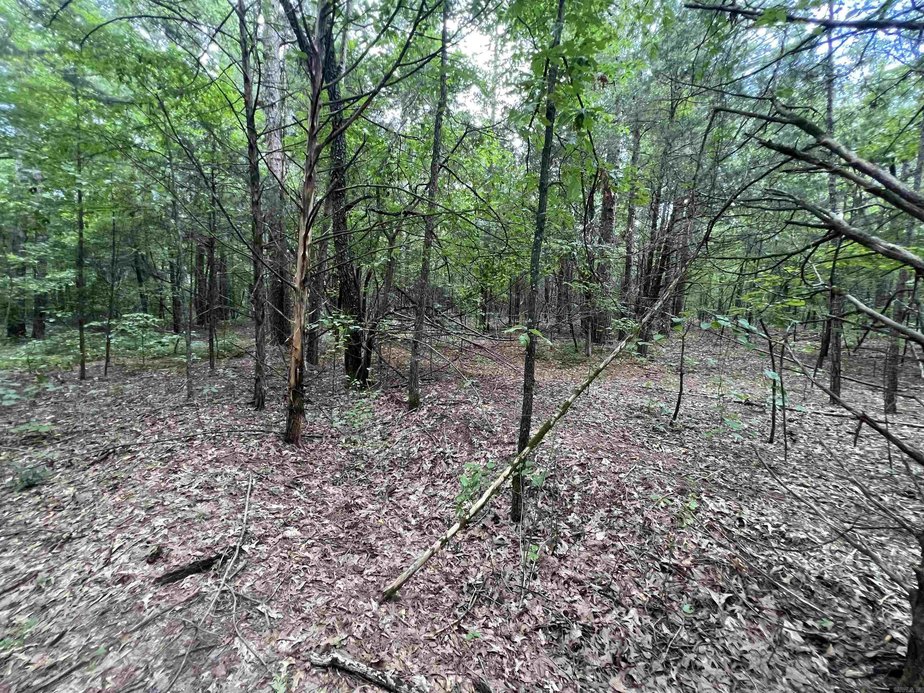 000 Truman Reynolds  Quitman, AR