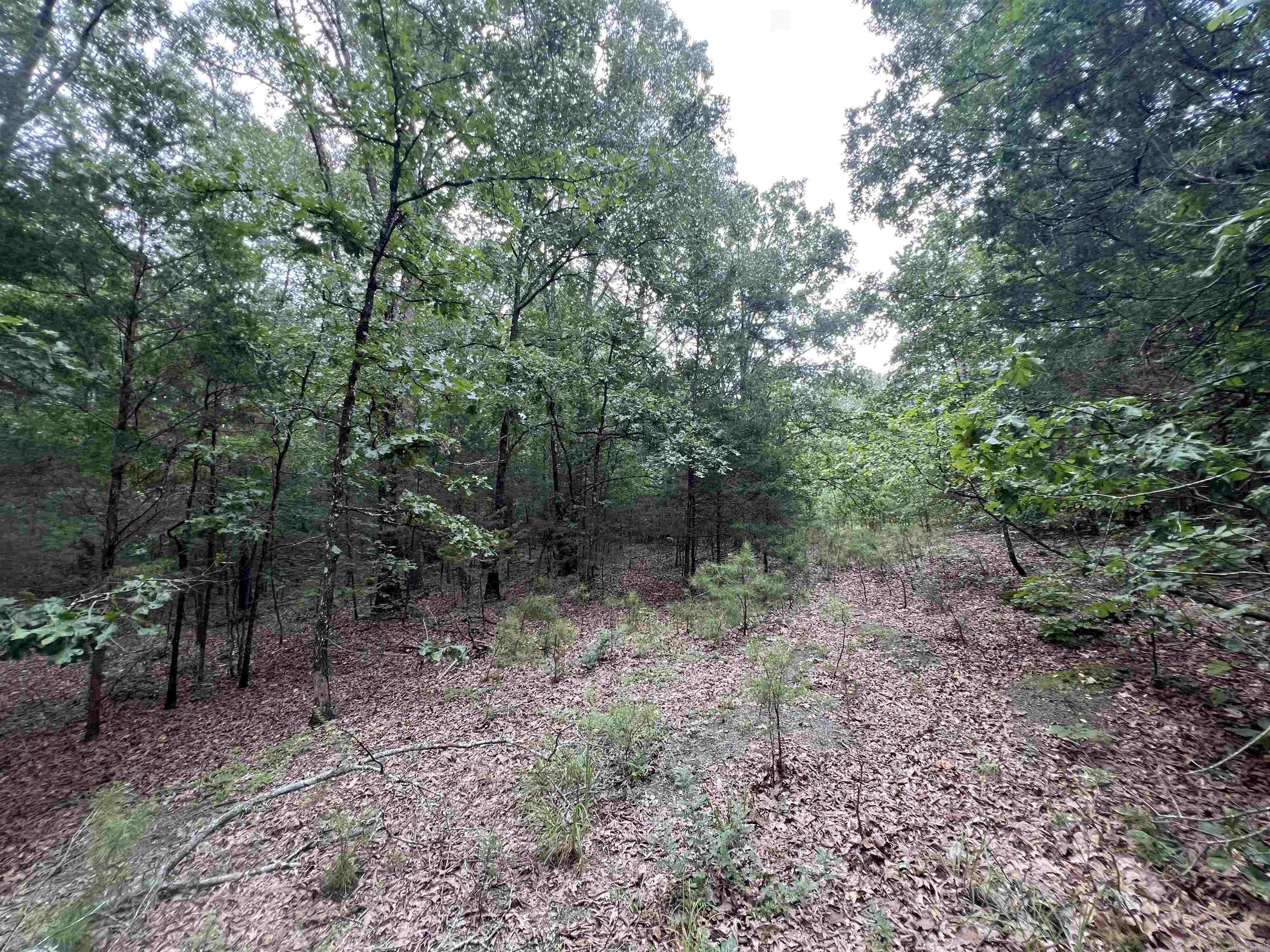 000 Truman Reynolds  Quitman, AR