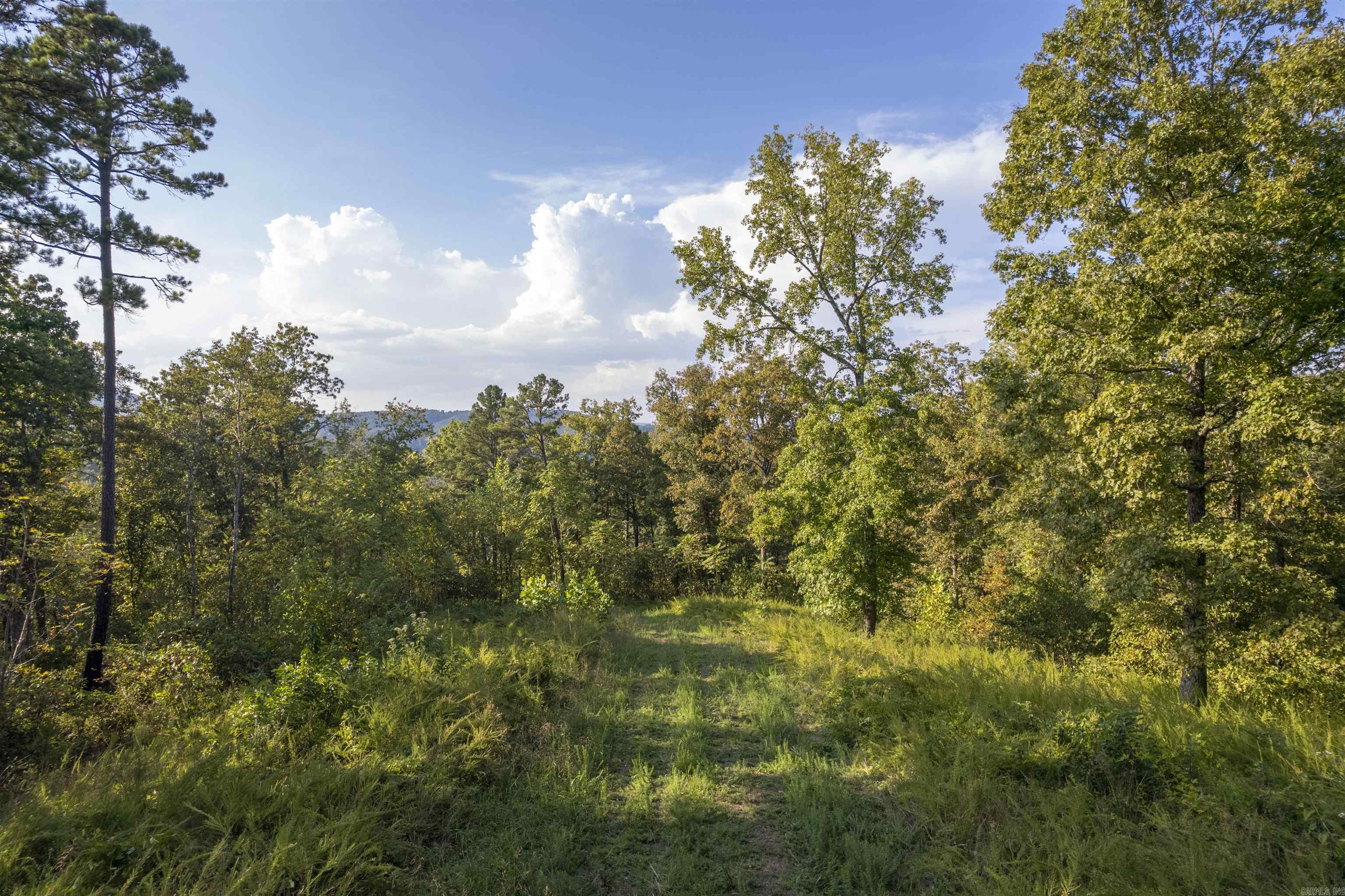 001-08532-000 NC 6012  Jasper, AR