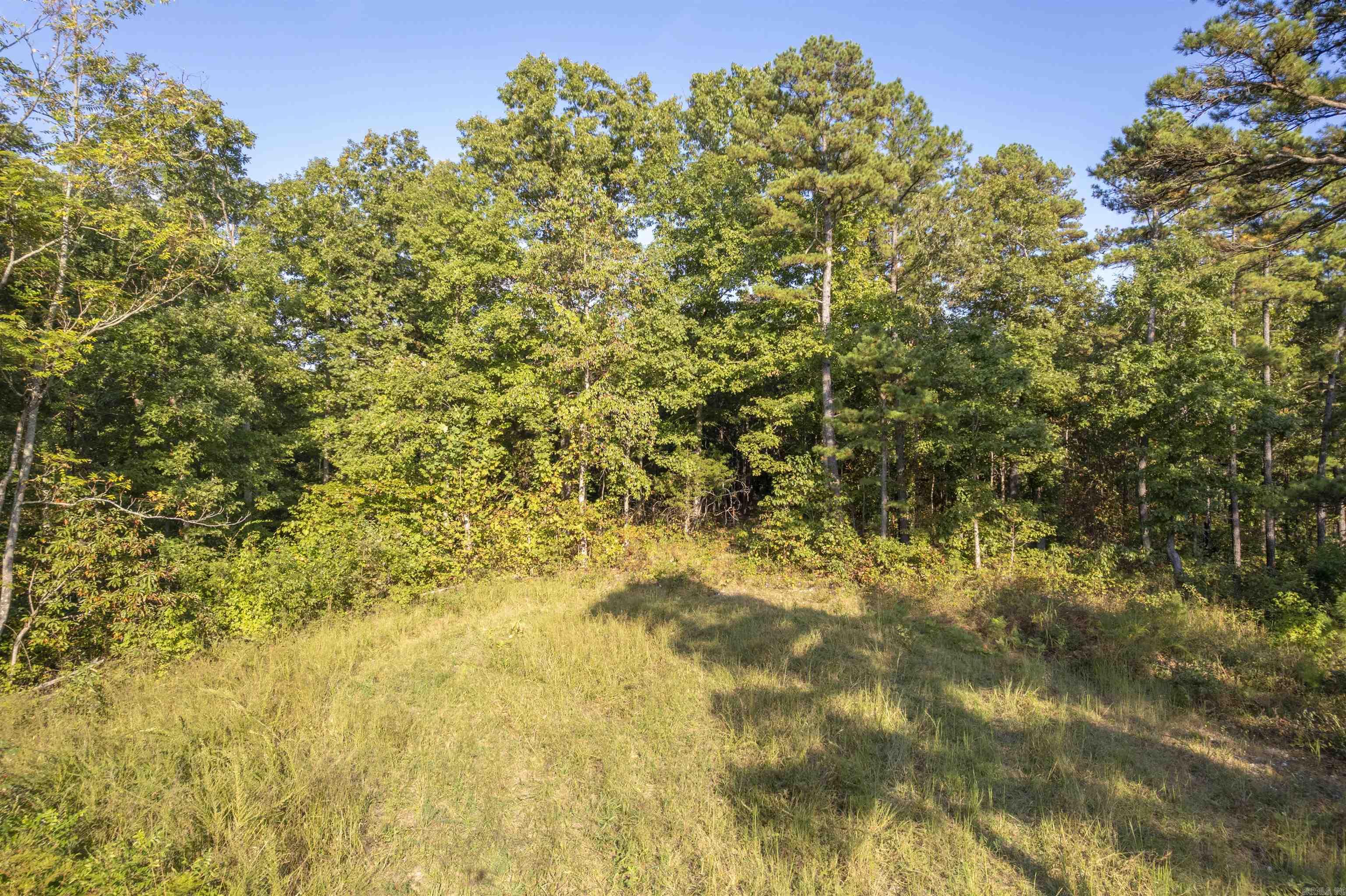 001-08532-000 NC 6012  Jasper, AR