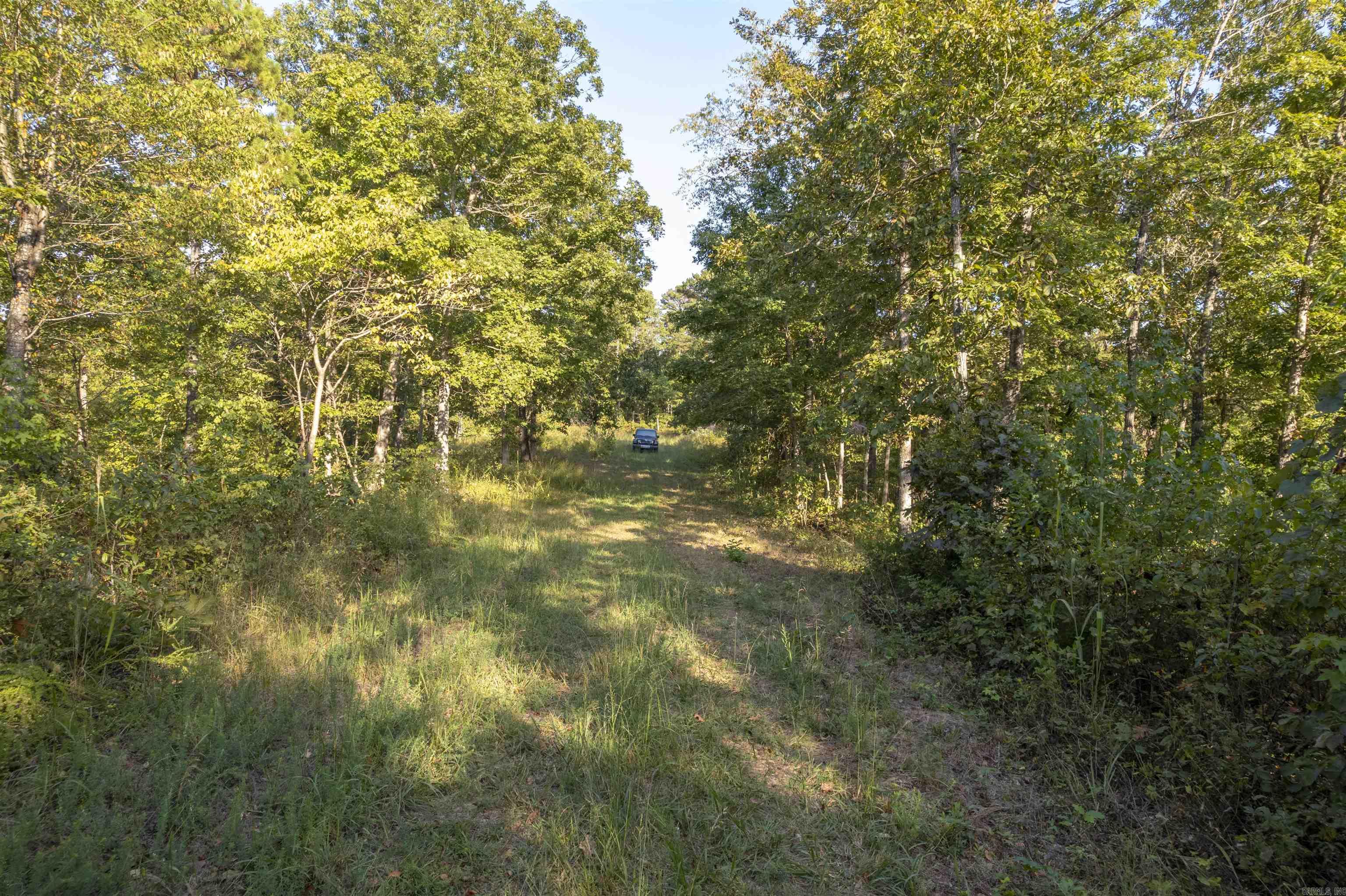 001-08532-000 NC 6012  Jasper, AR